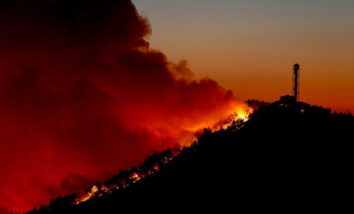2019’da 2 bin 688 orman yangını çıktı, 11 bin hektar alan kül oldu: En büyük zarar İzmir’de