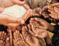 Oxfam: Açlık krizi, koronavirüsten daha fazla insanın ölümüne neden olabilir