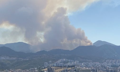 Fahrettin Altun’dan orman yangınları açıklaması: Kapsamlı soruşturmalar başlatıldı