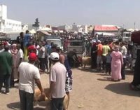 Kurban pazarında kavga: 20 kişi gözaltına alındı
