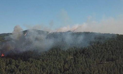 Aydos Ormanı’nda dört farklı noktada yangın çıktı