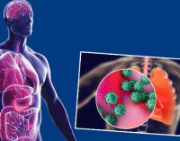 Otopsi raporları incelendi: Koronavirüs vücudu nasıl ele geçiriyor?
