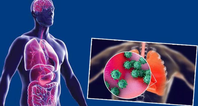 Otopsi raporları incelendi: Koronavirüs vücudu nasıl ele geçiriyor?