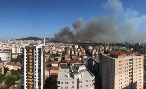 Ciğerlerimiz yanıyor: İzmir, Muğla ve İstanbul’da yangın