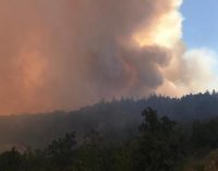 Adana Kozan’daki orman yangını sebebiyle altı köy boşaltıldı: Yanan alan 150 hektarı geçti