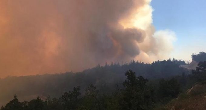 Adana Kozan’daki orman yangını sebebiyle altı köy boşaltıldı: Yanan alan 150 hektarı geçti