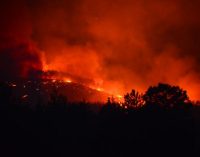 Adana Kozan’daki orman yangınıyla ilgili üç kişi gözaltına alındı