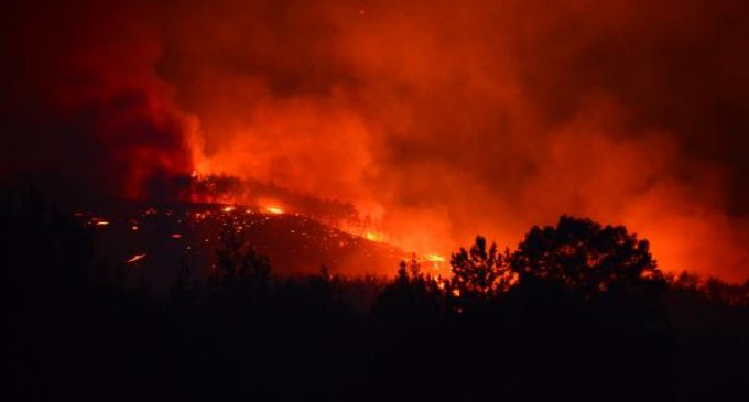 Adana Kozan’daki orman yangınıyla ilgili üç kişi gözaltına alındı