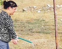 AKP’li belediye sürgünde engel tanımadı: Yüzde 52 engelli personele bahçe temizliği görevi