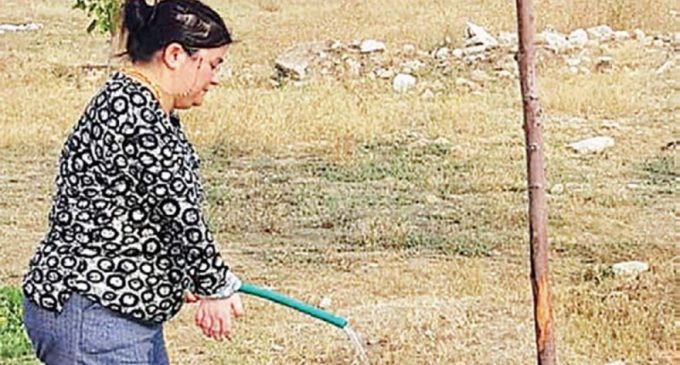AKP’li belediye sürgünde engel tanımadı: Yüzde 52 engelli personele bahçe temizliği görevi