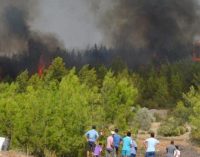 Antalya, Muğla ve Mersin’de orman yangını