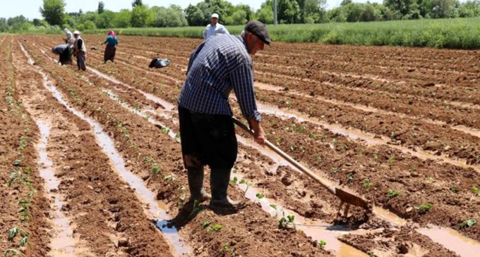 “Türkiye’de çiftçi sayısı 15 yılda yüzde 50 azaldı”