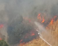 Ciğerlerimiz soluyor: Bugün 21 orman yangını, arife ve bayramda da 158 yangın çıktı