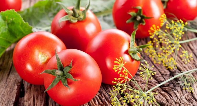 Rusya’ya domates ihracatı kotası 50 bin ton artırıldı