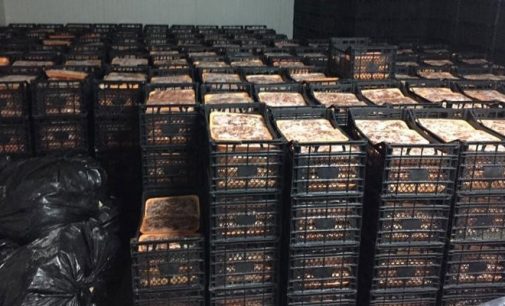 Furkan Vakfı, ‘Fakirlere dağıtacağız’ diyerek 41 ton et toplamış: Satmayı planlarken yakalandılar