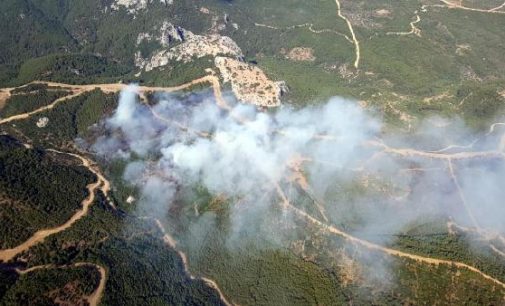 İzmir Menderes’teki orman yangınının şüphelisi tutuklandı