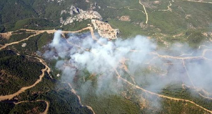 İzmir Menderes’teki orman yangınının şüphelisi tutuklandı