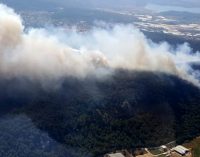 Bakan Pakdemirli: 14 orman yangınından 10’u kontrol altında, biri söndürüldü