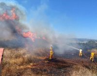 İzmir’de altı günde 37 farklı orman ve kırsal alan yangını çıktı: Yangın sayısında yüzde 30’luk artış