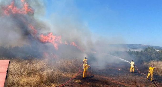 İzmir’de altı günde 37 farklı orman ve kırsal alan yangını çıktı: Yangın sayısında yüzde 30’luk artış