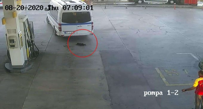 İzmir’de yavru köpeğe çarpıp ölümüne sebep olan minibüs şoförü kaçtı