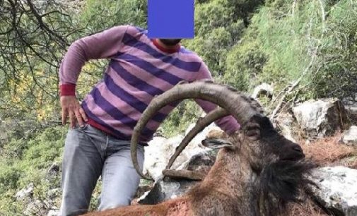 Koruma altındaki dağ keçisini avladı, başında fotoğraf çekildi: 23 bin 288 TL para cezası kesildi