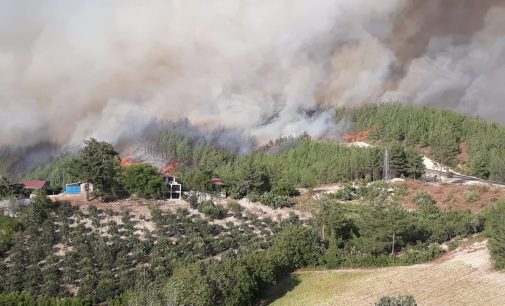 Adana’daki yangın kontrol altına alınmaya çalışılıyor: 150 hektardan fazla orman zarar gördü