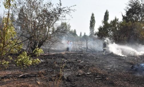 Makilik alanda yangın: Alevlerin ortasında kalan arıcı yaşamını yitirdi