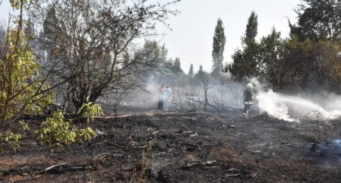 Makilik alanda yangın: Alevlerin ortasında kalan arıcı yaşamını yitirdi