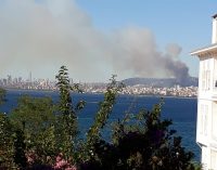 İstanbul Maltepe’de orman yangını