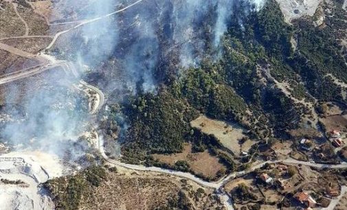 Aliağa’daki orman yangını söndürüldü: Yaklaşık 5 dönümlük ormanlık alan zarar gördü