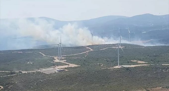 İzmir’de bir orman yangını daha
