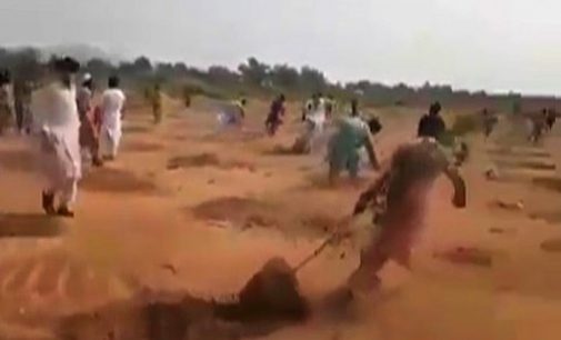 “Pakistan’da İslam’a aykırı denilerek ağaç sökülüyor” denmişti: Olay arazi kavgası çıktı