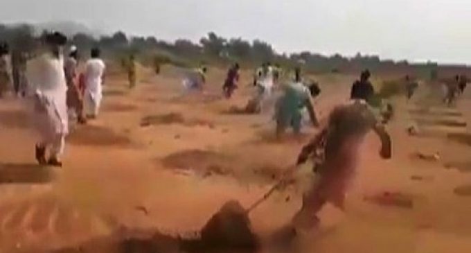 “Pakistan’da İslam’a aykırı denilerek ağaç sökülüyor” denmişti: Olay arazi kavgası çıktı