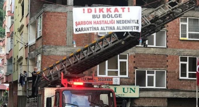 Trabzon’da ‘şarbon’ alarmı: Bir mahalle karantinaya alındı