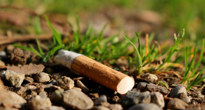 Almanya’da sigara izmariti temizlemek için yılda 225 milyon avro harcanıyor