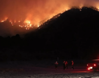 Adana’da orman yangını: Çevredeki evler tahliye edildi