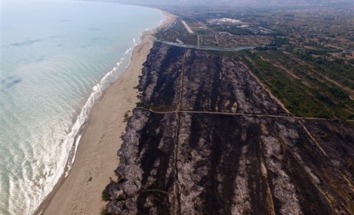 Erdoğan doğal sit alanını yapılaşmaya açmıştı: Kızılırmak Deltası Kuş Cenneti’nde 2 bin dönüm alan yandı