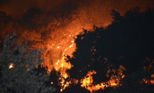 Ayvalık’taki orman yangını kontrol altına alındı