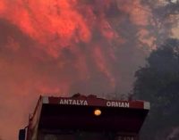 Antalya’nın turizm bölgesi Adrasan’da orman yangınında 60 hektar alan küle döndü