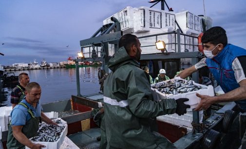 Av yasağı kalktı, balıkçılar ağlarını attı: Yeni sezon açıldı