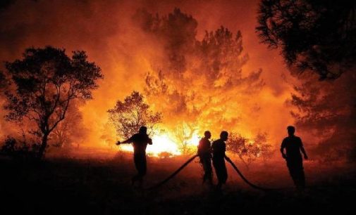 Bugün başlayan 11 orman yangınının 10’u kontrol altına alındı