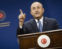 Dışişleri Bakanı Çavuşoğlu: İnsan Hakları Eylem Planı AB ile ilişkilerimize katkı sağlayacak