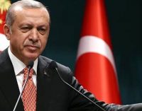 AKP’li Cumhurbaşkanı Erdoğan: An itibariyle 438 yaralımız var