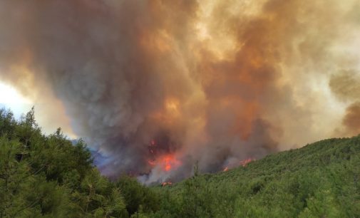 Orman yangını: Büyüyerek devam ediyor…