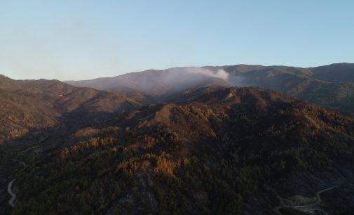 Hatay’daki orman yangını beşinci gününde: Müdahale sürüyor