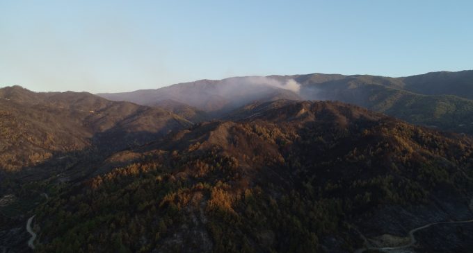 CHP’den orman yangınına ilişkin rapor: Havadan müdahale gecikti, koordinasyon kurulamadı