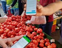 İzmir Valiliği: HES kodu olmayan pazarcı ve AVM çalışanlarına izin verilmeyecek