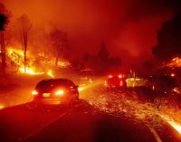 ABD’nin batısındaki orman yangınlarında ölü sayısı 15’e yükseldi: Oregon’un nüfusunun yüzde 10’u tahliye edildi