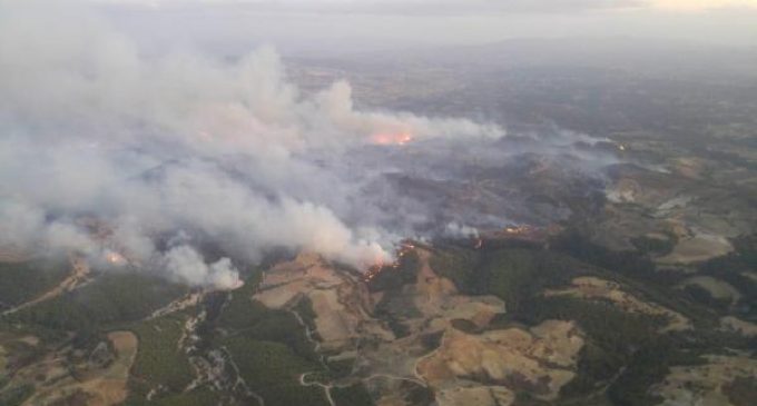 Manisa’daki orman yangınında 50 hektar alan zarar gördü